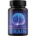 Brain Memory Y Mood